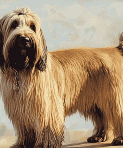 Blond Briard Puppies Diamond Painting