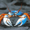 Blue Crab Animal Diamond Painting