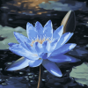 Blue Waterlily Blooms Diamond Painting