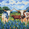 Bluebonnets Longhorn Cattle Diamond Painting