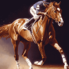 Brown Horse Diamond Painting