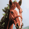 Brown Horse Portrait Diamond Painting