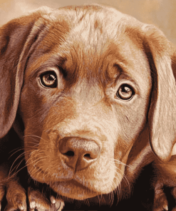 Brown Labrador Puppy Diamond Painting