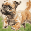 Brussel Griffon Puppy Diamond Painting