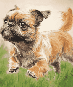 Brussel Griffon Puppy Diamond Painting