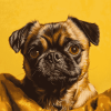 Brussels Griffon Dog Diamond Painting