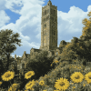 Cabot Tower Bristol Scenic Diamond Painting