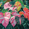 Caladium Vibrant Leaves Diamond Painting