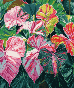 Caladium Vibrant Leaves Diamond Painting