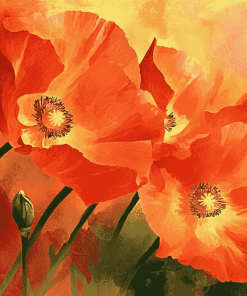 California Poppies Blossoms Diamond Painting