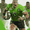 Canberra Raiders Footballers Diamond Painting