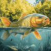 Carp Fishing Serenity Diamond Painting