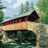 Carroll Bridge Autumn View Diamond Painting