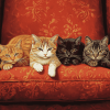 Cats Relaxing on Red Sofa Diamond Painting