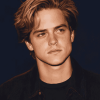 Celebrity Dylan Sprouse Diamond Painting