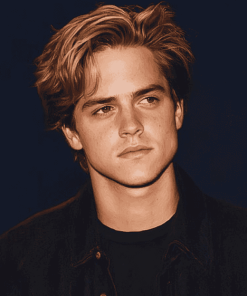 Celebrity Dylan Sprouse Diamond Painting