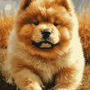 Chow Chow Dog Diamond Painting