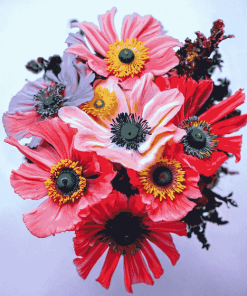 Colorful Anemone Blossoms Diamond Painting