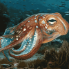 Colorful Cuttlefish Diamond Painting