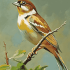 Colorful Dickcissel Bird Diamond Painting