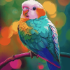 Colorful Quaker Parrot Diamond Painting