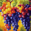 Colorful Vineyard Fruits Diamond Painting