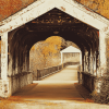 Covered Arches Diamond Painting