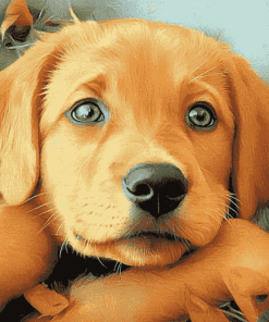 Cute Fox Labrador Puppy Diamond Painting