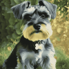 Cute Miniature Schnauzer Puppy Diamond Painting