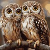 Cute Ninoxe Boobook Owl Diamond Painting