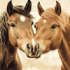 Cute Sable Island Ponies Diamond Painting