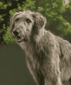 Cute Wolfhound Puppies Diamond Painting