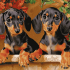 Dachshund Miniature Puppies Diamond Painting