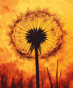 Dandelion Silhouette Sunset Diamond Painting