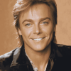 David Cassidy Celebrity Art Diamond Painting