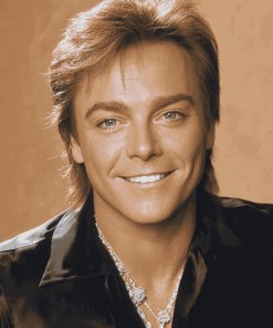 David Cassidy Celebrity Art Diamond Painting