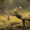 Deer and Elk Diamond Painting