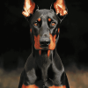 Dobermann Puppy Diamond Painting