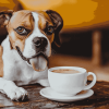 Dog Lover's Coffee Diamond Painting