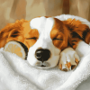 Dog Spa Tranquility Diamond Painting