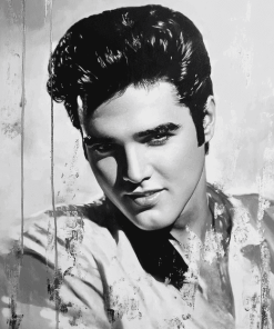 Elvis Monochrome Diamond Painting