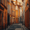 Exploring Toulouse Streets France Diamond Painting