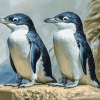 Fairy Penguin Birds of Australia Diamond Painting