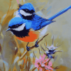 Fairy Wren Birds Diamond Painting