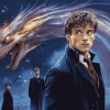 Fantastic Beasts Movie Series Diamond Painting