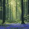 Fantasy Bluebells Forest Diamond Painting