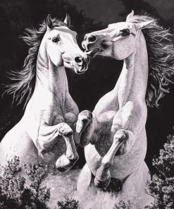 Fighting Horses Monochrome Diamond Painting