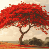 Flamboyant Tree Landscape Diamond Painting