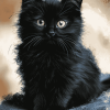 Fluffy Black Kitty Diamond Painting