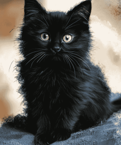 Fluffy Black Kitty Diamond Painting